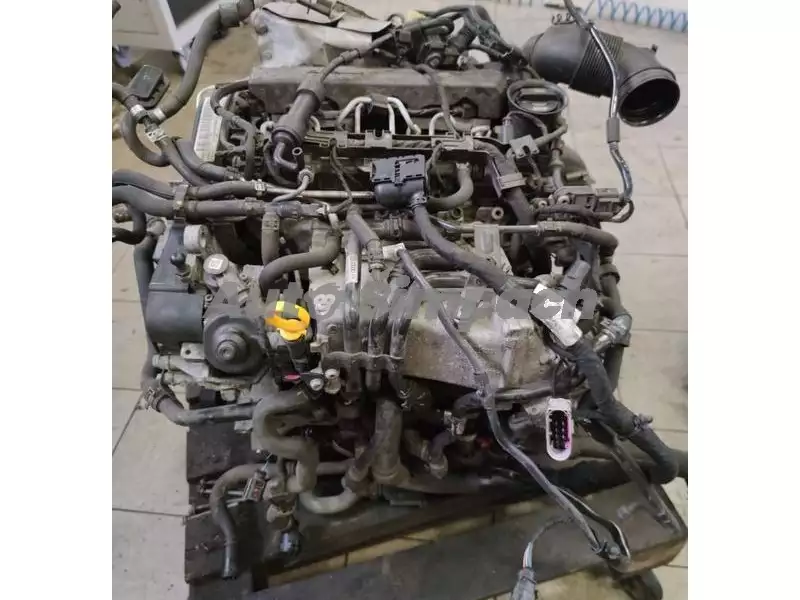 Motor CLHA 1.6 TDI 77kw, Škoda Octavia III-3